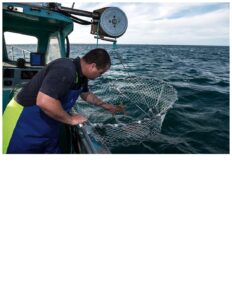 Crab Pots and Drop Nets - Marine Fishers Association Inc.Marine