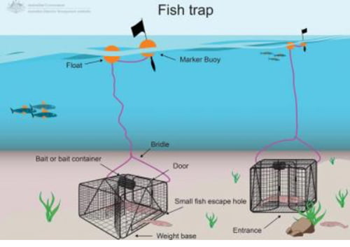 Fish Traps - Marine Fishers Association Inc.Marine Fishers Association Inc.